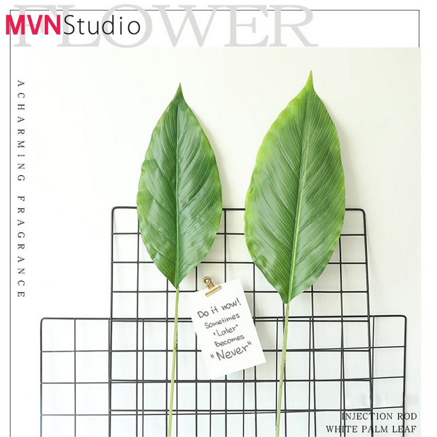 MVN Studio - Ins tổng hợp phụ kiện lá cây decor chụp ảnh, trang trí nhà cửa diy