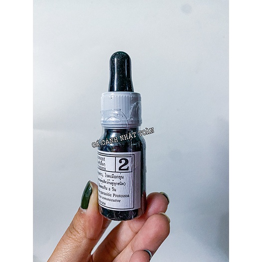 TIÊU DIỆT NẤM CHO CÁ BIO KNOCK 2 CỦA THÁI LAN