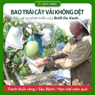 Túi bọc trái cây Bưởi Da Xanh chống côn trùng có dây rút 30x30.2cm loại 100 Túi bao Bưởi Duy Anh