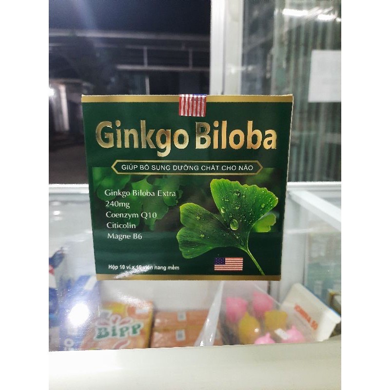 Bổ não Ginkgo biloba