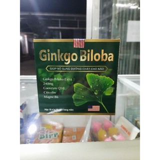 Bổ não Ginkgo biloba
