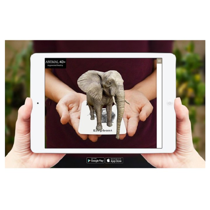 BỘ 38 THẺ ANIMAL 4D THẺ ĐỘNG VẬT THỰC TẾ ẢO 4D, Thẻ 4D Phát Triển Trí Tuệ