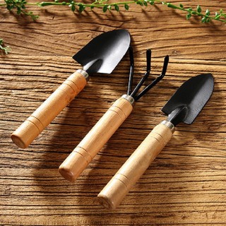 bộ dụng cụ chăm sóc cây cảnh mini
