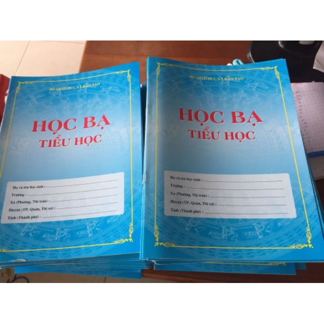 Học bạ tiểu học thông tư 22