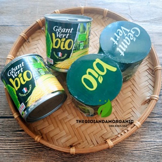 Bắp ngô ngọt tươi hữu cơ Pháp