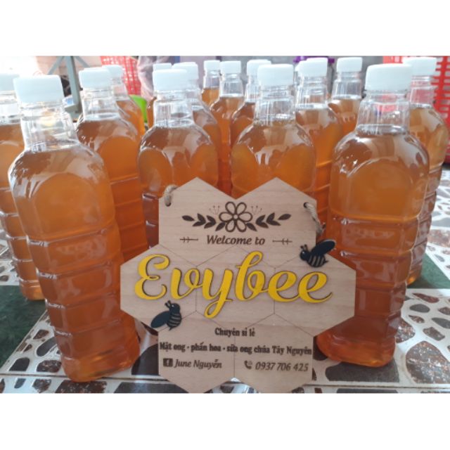 Sỉ MẬT ONG HOA CÀ PHÊ