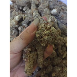 50g - 100g củ tam thất