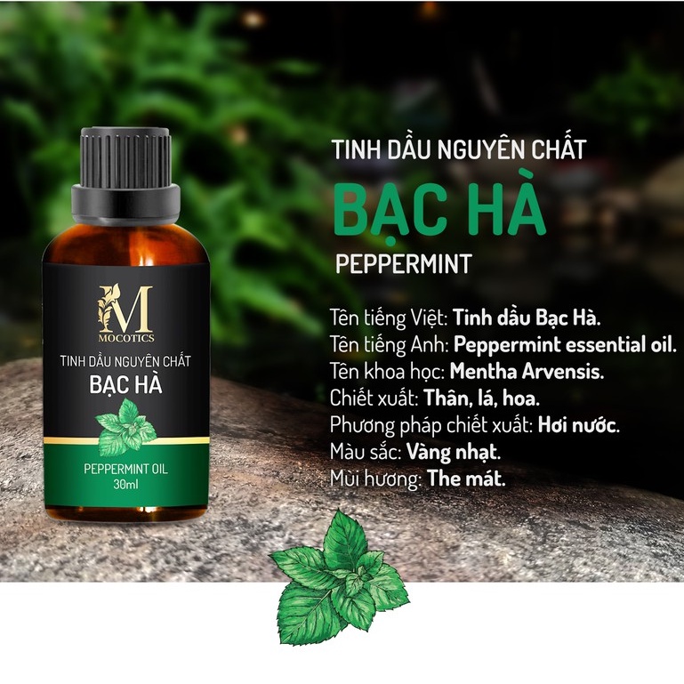 Tinh dầu Bạc Hà Mocotics 100% nguyên chất chai 30ml