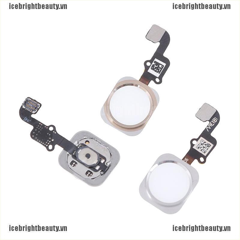 Mạch Nút home Cho Điện Thoại 6 6plus