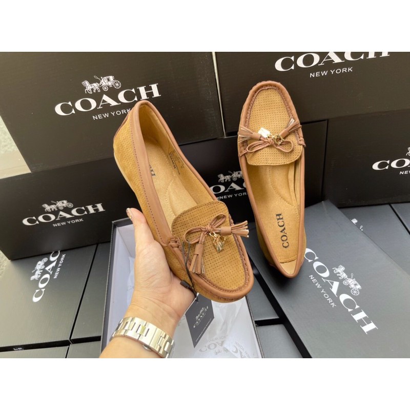 Coach giày mọi