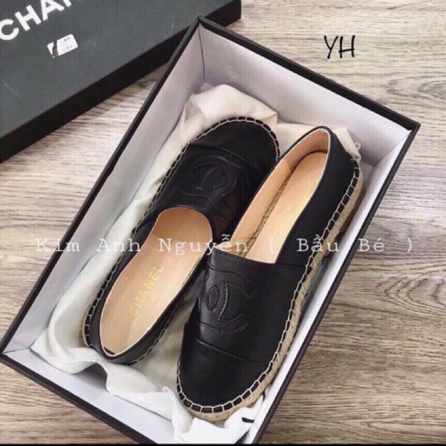 lười đế cói