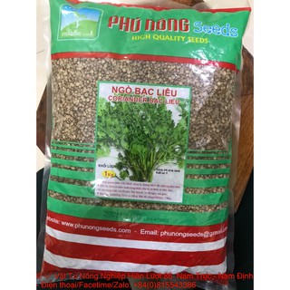 Hạt giống ngò bạc liêu-vtnn hiền lượt