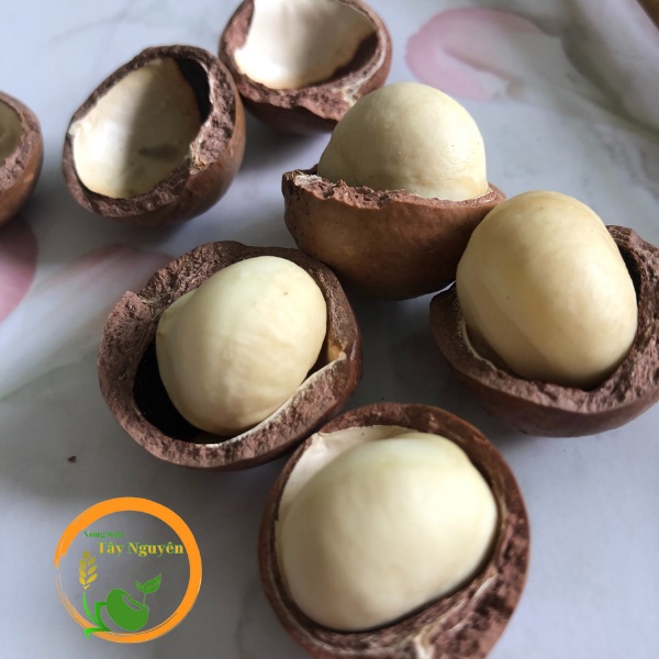 Hạt Macca Daklak loại ngon nứt vỏ sấy chín kèm đồ khui