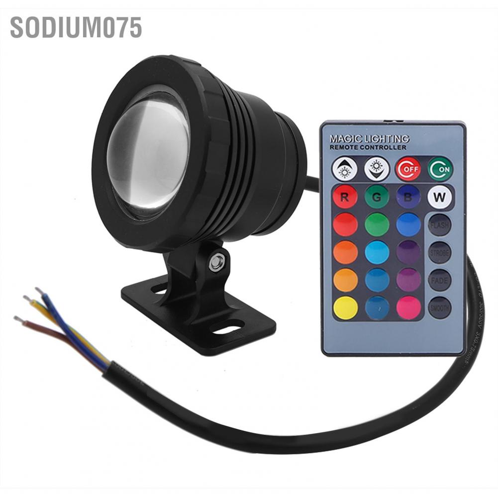 Có thể bán buôn Đèn LED chiếu sáng ngoài trời chống thấm nước 5W RGB sân vườn với bộ điều khiển từ xa 110V-240V Hàng giao ngay
