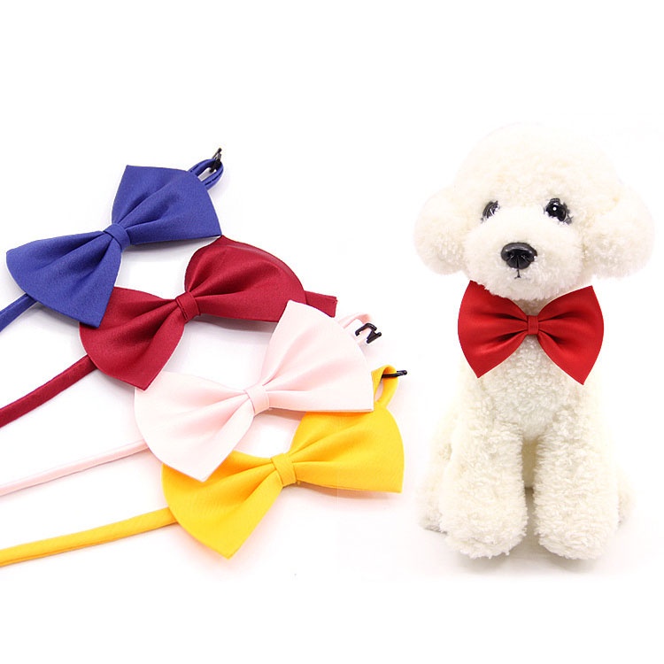 Vòng Cổ Nơ Xinh Xắn Cho Chó Mèo VN3505- MIAOCAT