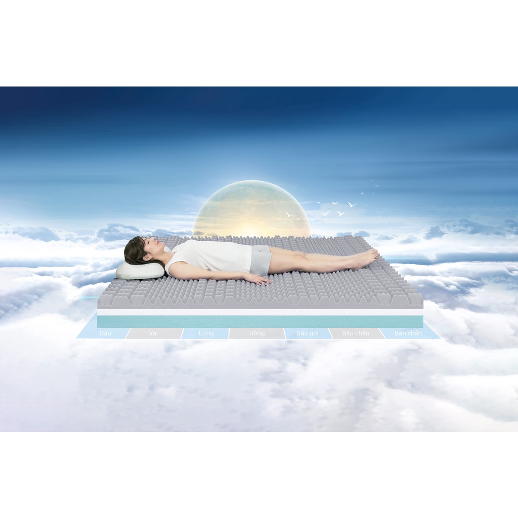 Nệm Foam Nhật Bản Oyasumi 7Zone - Nâng đỡ 7 vùng cho thoái mái trọn vẹn