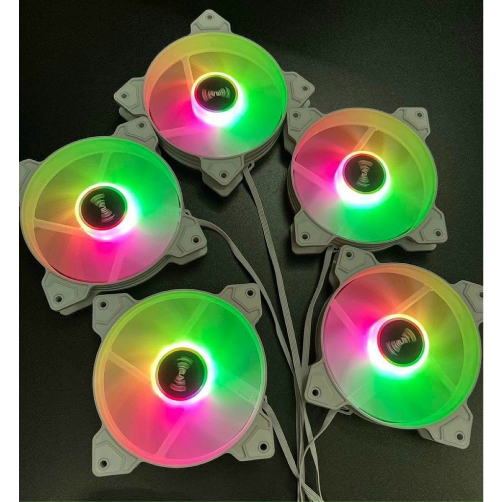 Fan led hub tomato