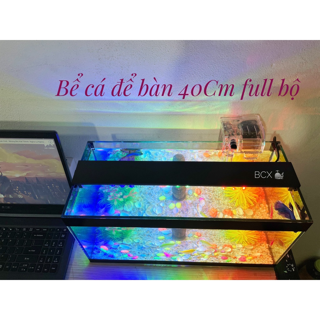 Bộ bể cá cảnh size 40cm đầy đủ đèn lọc và phụ kiện