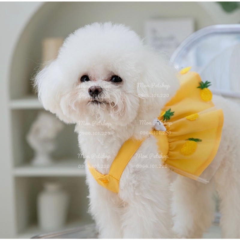 Yếm dứa vàng siêu xinh cho thú cưng