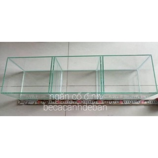 bể cá betta 2 ngăn, bể cá mini để bàn 25.10.C15
