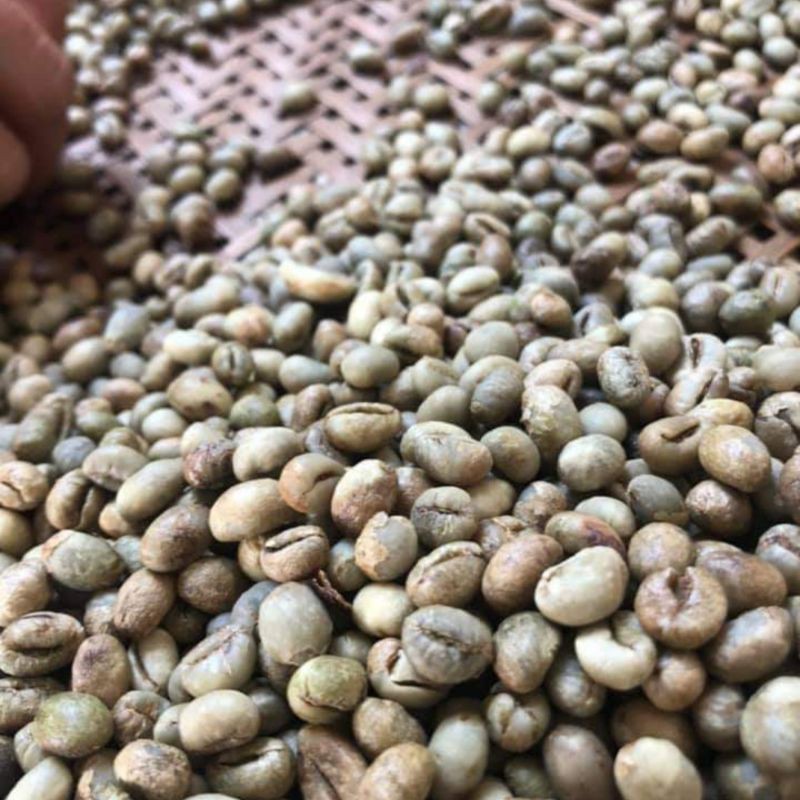 Cà phê Culi Robusta (500G/ 1 túi) - 100% Cà phê hạt rang mộc nguyên chất - TBCAFE