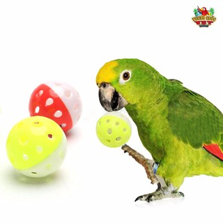 Đồ chơi huấn luyện Quả bóng lục lạc