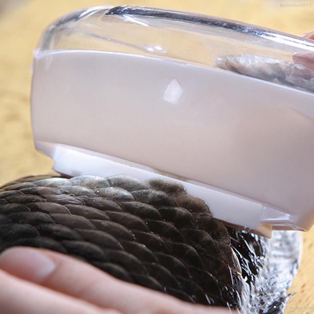 Dụng cụ cạo vảy cá bằng nhựa màu sắc ngẫu nhiên