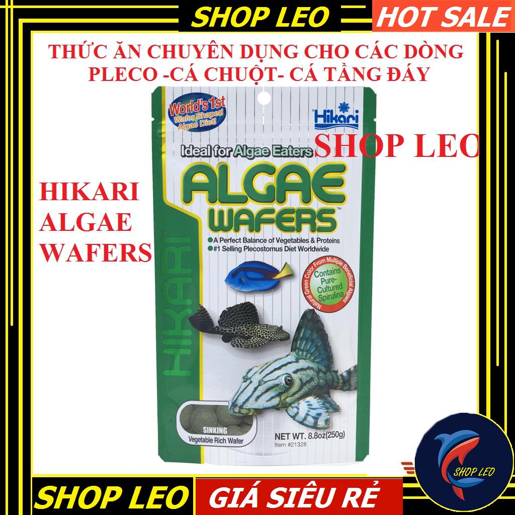 Thức Ăn Pleco Hikari - Thức ăn cá pleco cao cấp - cá chuột - pleco - cá tầng đáy