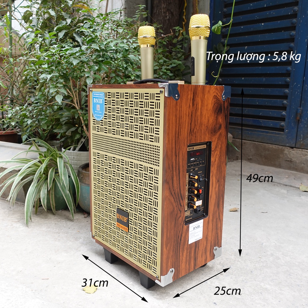 Loa kéo BNIB M10 bass 25cm  - Loa kéo Hát Karaoke kèm 2 Mic VHF Xịn | Bảo Hành 6 tháng