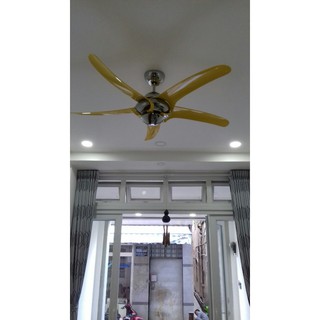 Quạt trần ROYAL URAGANO