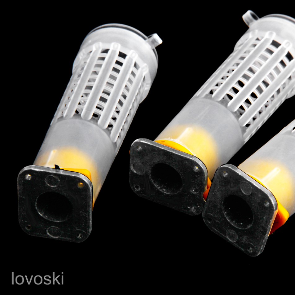 Set 5 lồng nuôi ong chúa tiện dụng