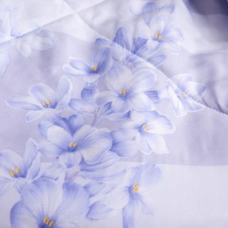 [ LOẠI CAO CẤP] Chiếu Tencel cao su non