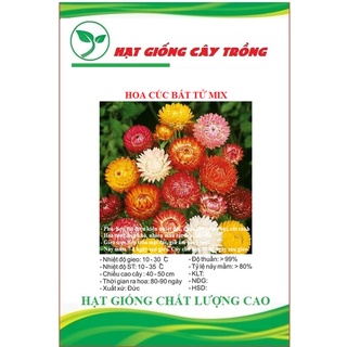 Hạt giống hoa cúc bất tử nhiều màu ct427 - gói 50 hạt