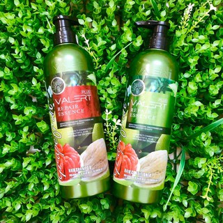 (TẶNG TINH DẦU) Cặp dầu gội và dầu xả tinh chất bưởi Grapefruit 850ml