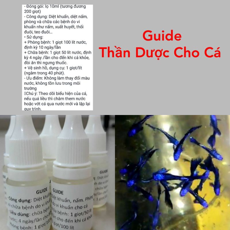 Gude Thần Dược Cho Cá Cảnh
