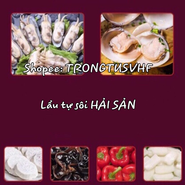 LẨU TỰ SÔI HẢI SẢN [SIZE TO]