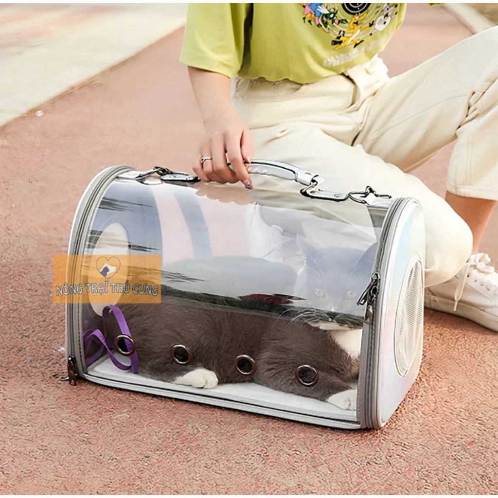 Túi Vận Chuyển Chó Mèo Trong Suốt  - Loại Cao Cấp, Cứng Đẹp - GIAO MÀU NGẪU NHIÊN