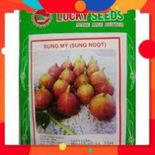 HẠT GIỐNG SUNG MỸ GÓI 10 HẠT