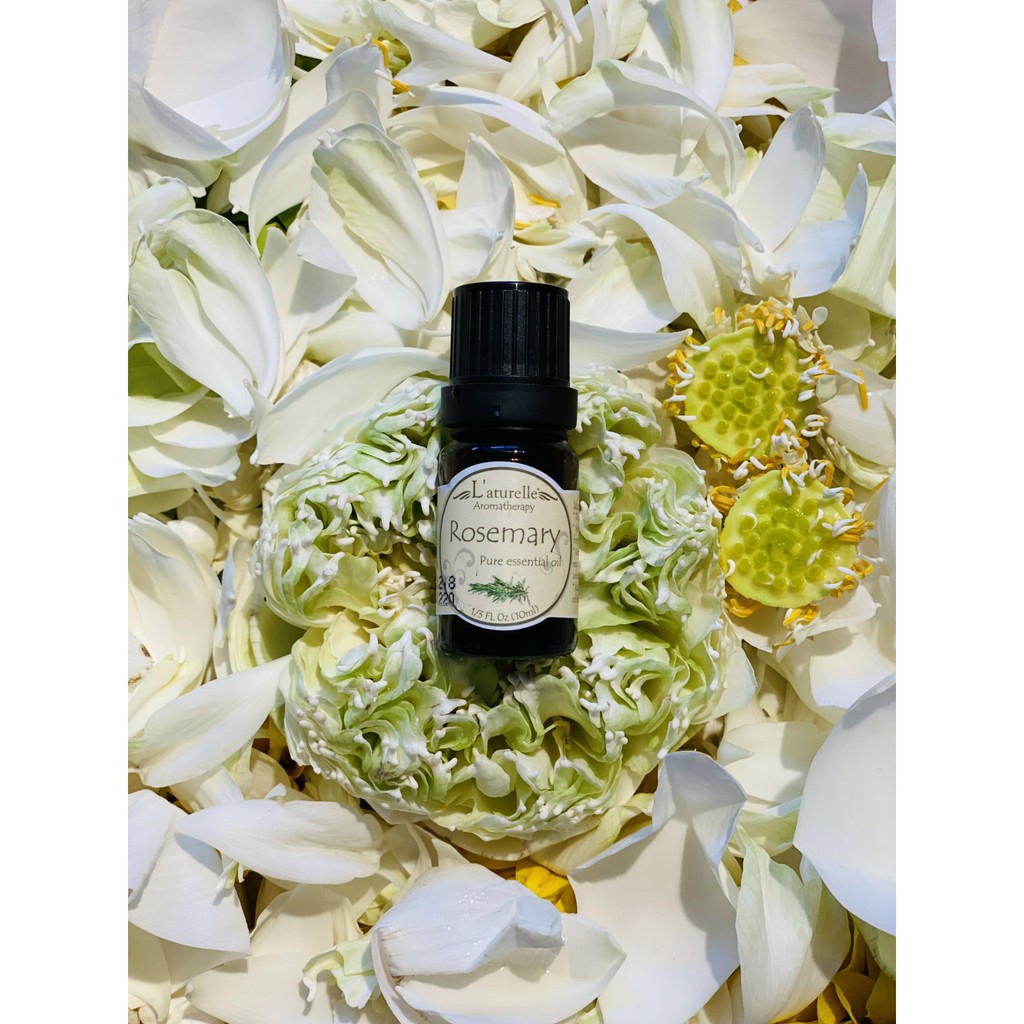 Tinh dầu hương thảo Rosemary cao cấp L'aturelle 10ml làm ấm và sạch cơ thể, tăng cường trí nhớ, cho cả nhà khỏe mạnh