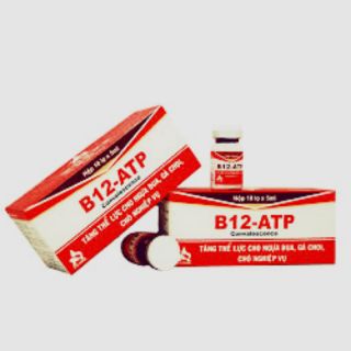 Tăng thể lực B12 - ATP