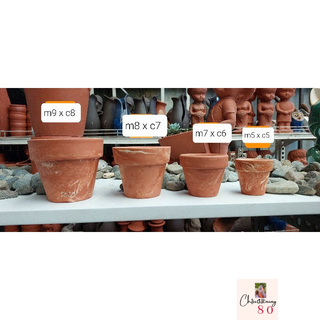 Chậu đất nung - chậu ly gờ loang màu đậm đủ sz