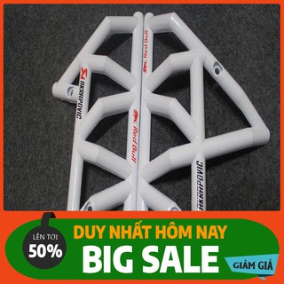 Ốp sườn winner kiểu ducati.