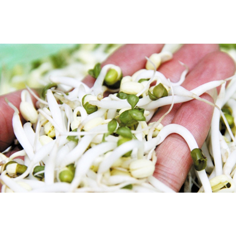 Hạt Giống Mầm Giá Đậu Xanh Phú Nông- Gói 100gr (HPN-028)