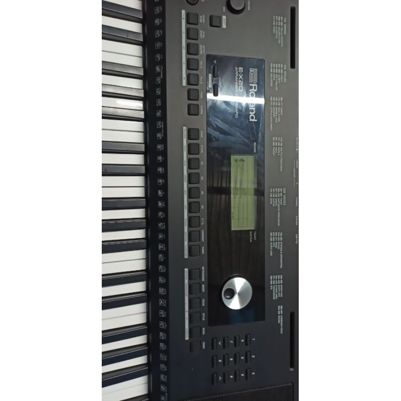 đàn organ Roland EX20 chính hãng đánh chuyên nghiệp