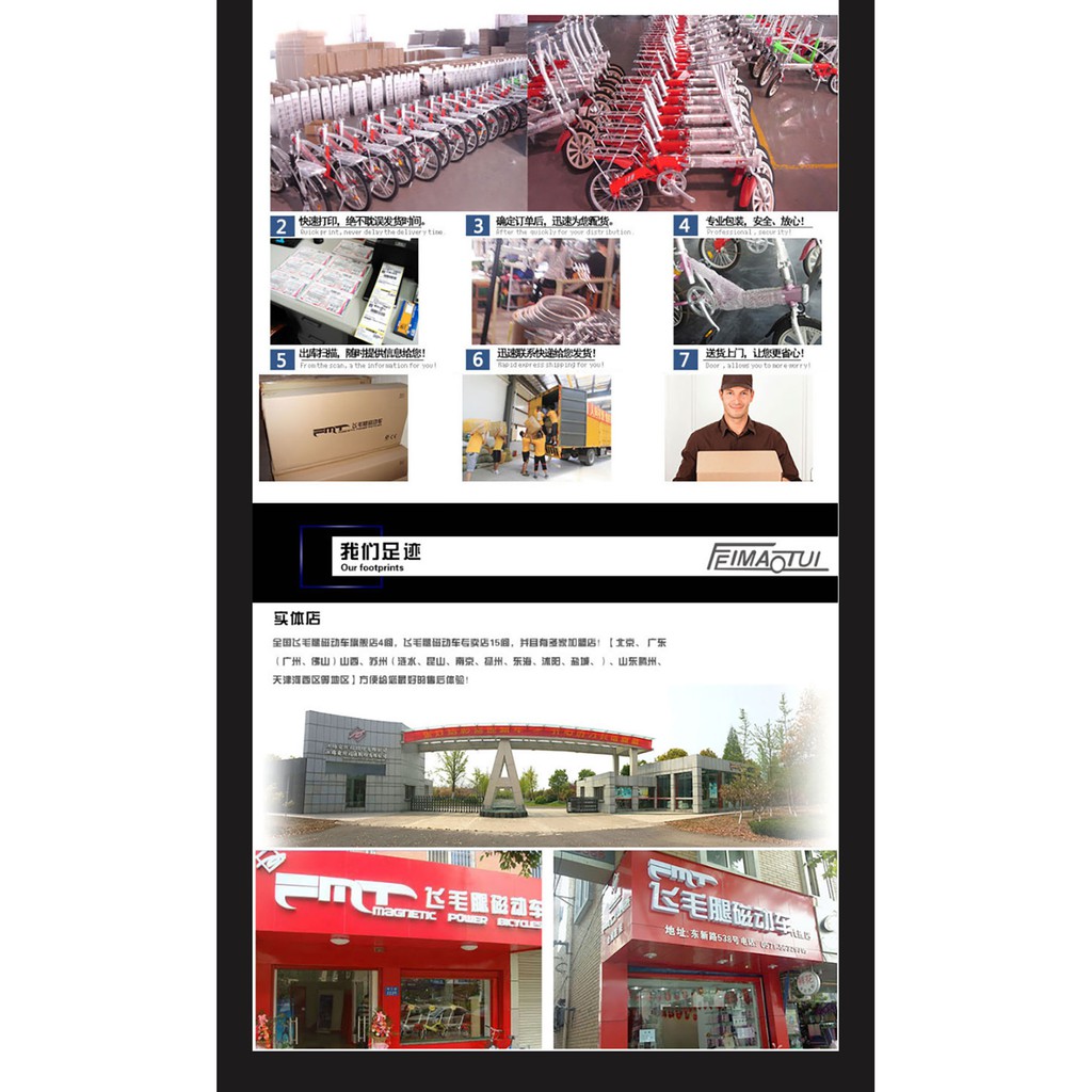 Xe đạp điện gấp FMT ELF I PIN LITHIUM 12AH-50KM