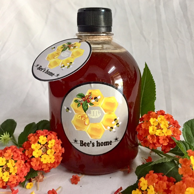 [KHÁNH HOÀ] 🐝Mật ong hoa cà phê Lâm Đồng (chai 500ml)