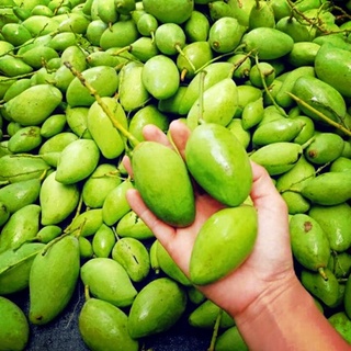 Xoài non kèm mắm ruốc