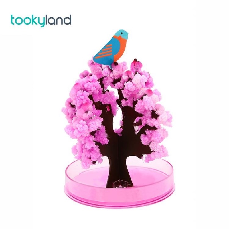 Hoa anh đào thần kỳ tự nở hoa MAGIC SAKURA TREE đồ chơi STEM sáng tạo cho bé làm ảo thuật