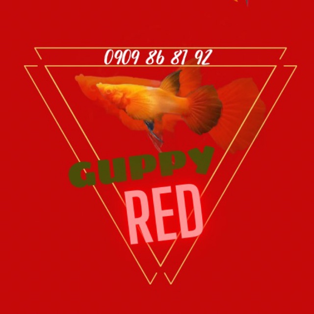 Guppy Red