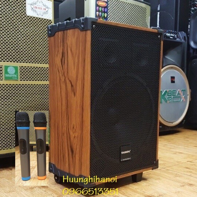 Loa kéo karaoke di động vỏ gỗ A10-42 đẹp, tặng kèm 2 micro không dây hát cực hay